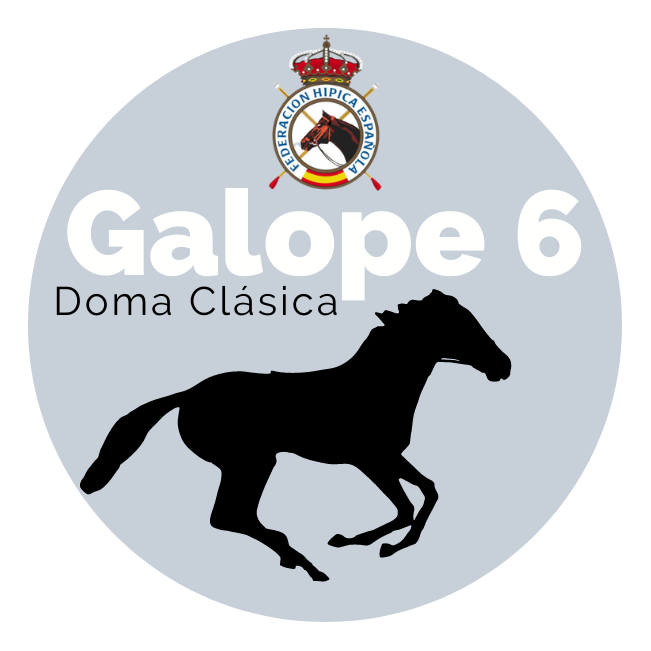 Galope 6
